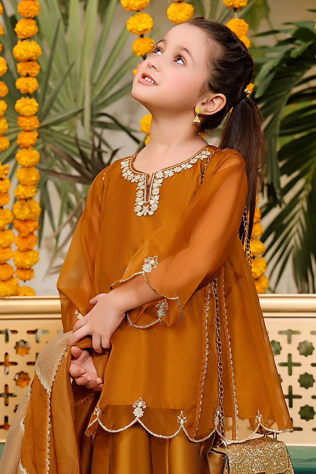 Aari Embroidered Organza Plazo Suit | ZEENAT | P3132